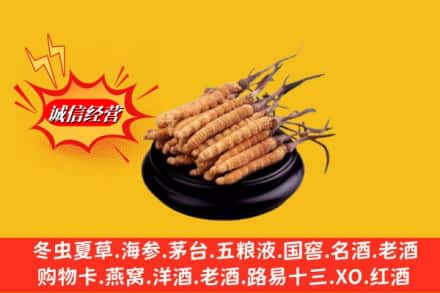 河池市环江名酒回收冬虫夏草.jpg